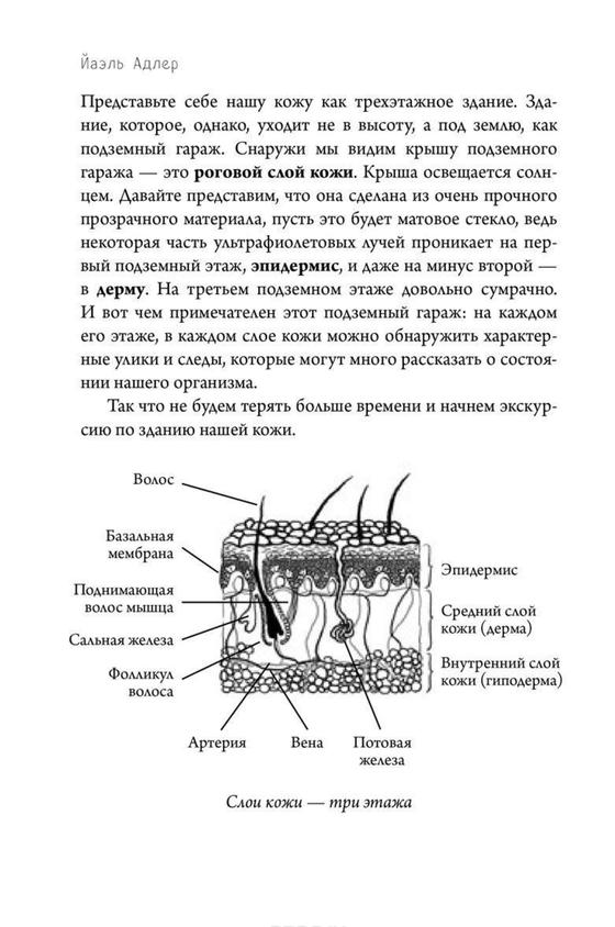 Черные точки на носу Черные точки на носу