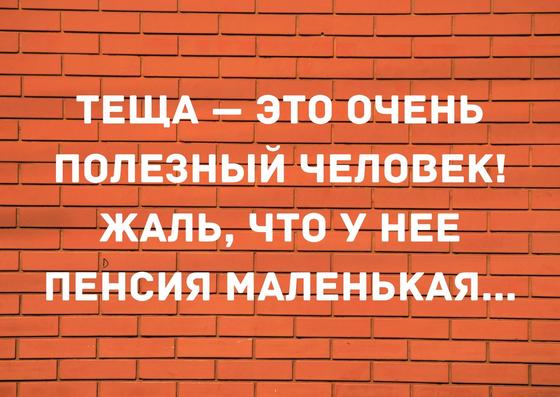 Анекдоты про тещу Анекдоты про тещу