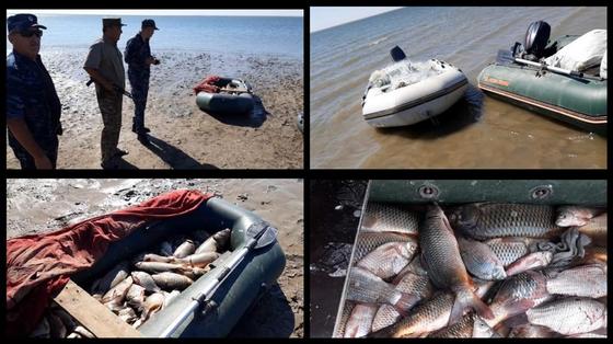 Фото: "Түркістан облыстық орман шаруашылығы және жануарлар дүниесі аумақтық инспекциясы" РММ Фото: "Түркістан облыстық орман шаруашылығы және жануарлар дүниесі аумақтық инспекциясы" РММ