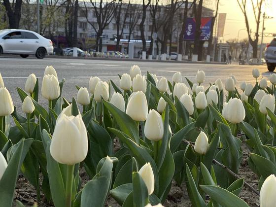 Шымкент отмечает день города Шымкент отмечает день города