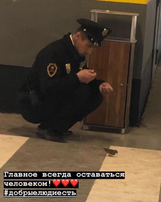 Кормящий воробушка охранник в Астане умилил соцсети (фото) Кормящий воробушка охранник в Астане умилил соцсети (фото)