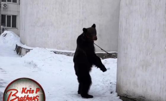 Фото: Видеодан кадр Фото: Видеодан кадр