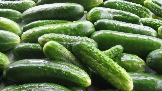 как сделать сухарики со вкусом малосольных огурцов. Смотреть фото как сделать сухарики со вкусом малосольных огурцов. Смотреть картинку как сделать сухарики со вкусом малосольных огурцов. Картинка про как сделать сухарики со вкусом малосольных огурцов. Фото как сделать сухарики со вкусом малосольных огурцов