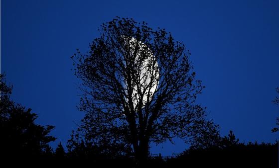 Какой сегодня лунный день: лунный календарь 17 апреля Какой сегодня лунный день: лунный календарь 17 апреля