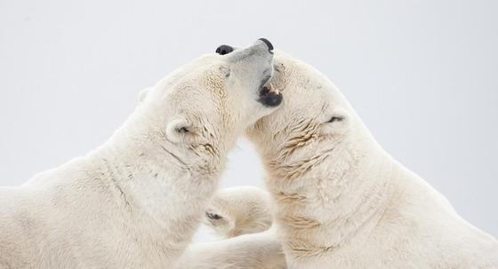 Фото: bigpicture.ru Фото: bigpicture.ru