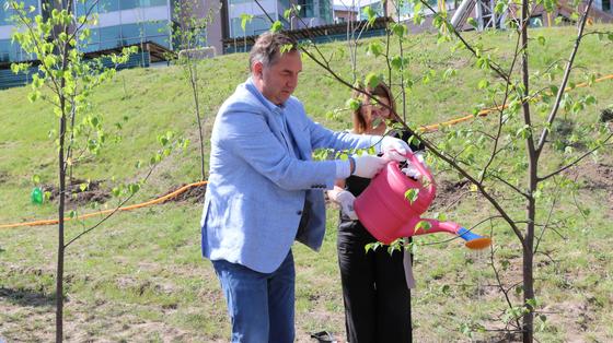 Посадка деревьев Посадка деревьев