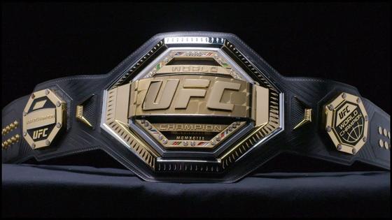 Турнир UFC впервые пройдет в Казахстане Турнир UFC впервые пройдет в Казахстане