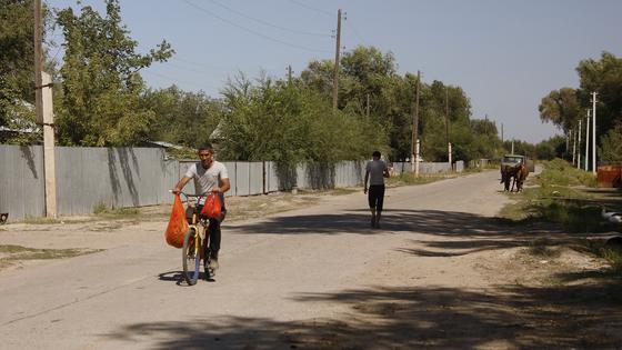 Мужчина едет на велосипеде Мужчина едет на велосипеде
