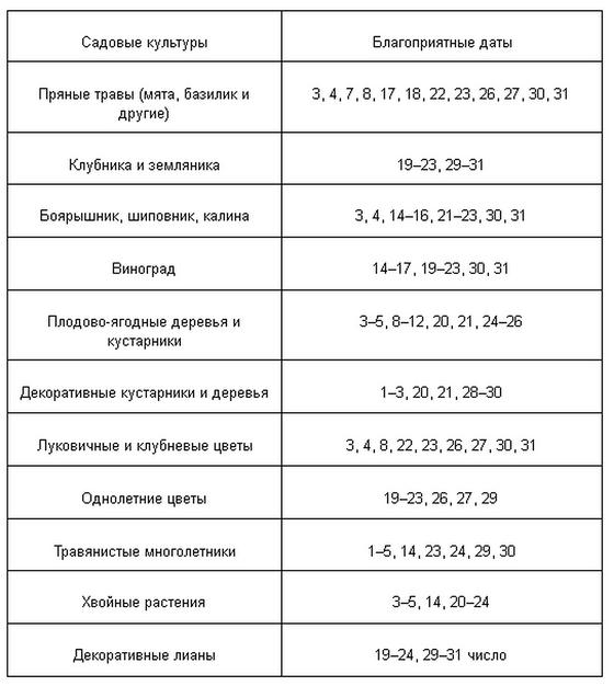 Посевной календарь садовода на март Посевной календарь садовода на март
