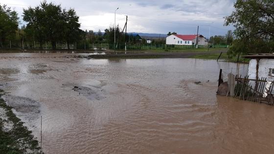 Сильный ливень подтопил дома в ВКО, людей пришлось эвакуировать (фото) Сильный ливень подтопил дома в ВКО, людей пришлось эвакуировать (фото)