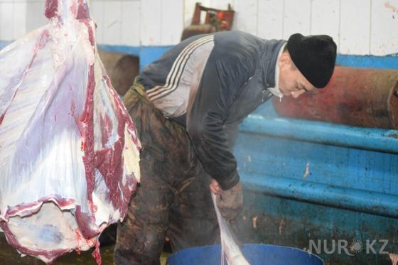 На Западе нашей страны покупка "согыма" обходится в 450 тысяч тенге На Западе нашей страны покупка "согыма" обходится в 450 тысяч тенге
