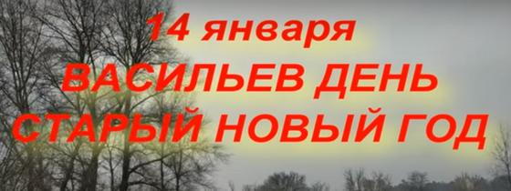 Дата старого Нового года на фоне деревьев Дата старого Нового года на фоне деревьев