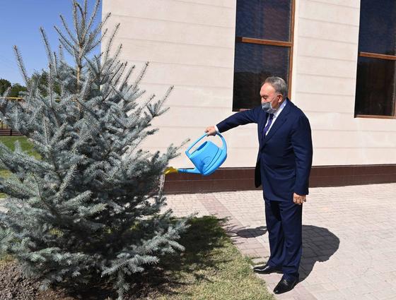 Нурсултан Назарбаев поливает дерево Нурсултан Назарбаев поливает дерево