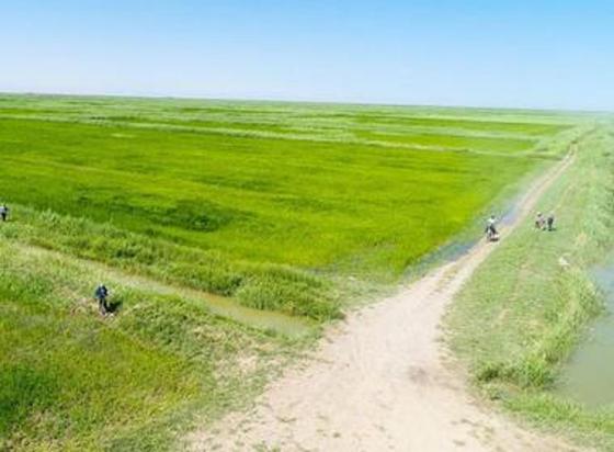 В Кызылординской области планируют увеличить объем орошаемых земель до 332 тысяч гектаров В Кызылординской области планируют увеличить объем орошаемых земель до 332 тысяч гектаров