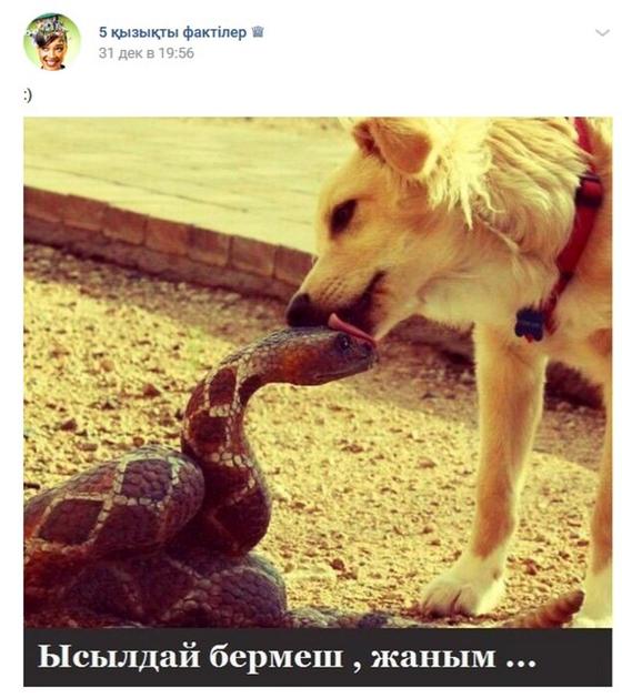 Фото: Вконтакте Фото: Вконтакте