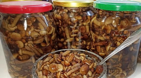 Маринованные опята на зиму Маринованные опята на зиму