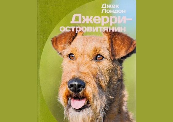 Обложка книги «Джерри-островитянин» Обложка книги «Джерри-островитянин»