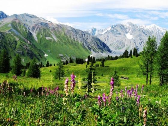 Катон-Карагай Катон-Карагай