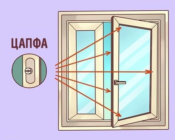 Цапфа Цапфа