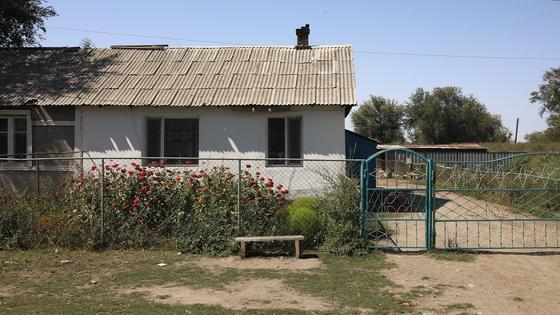 Цветы растут возле дома Цветы растут возле дома