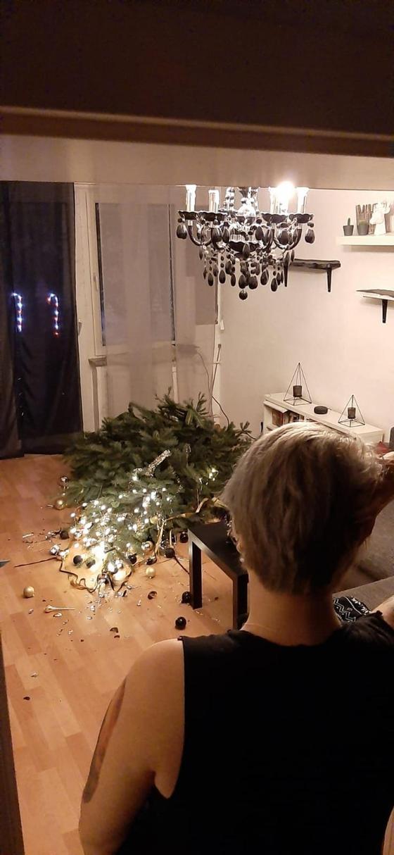 15 новогодних и рождественских фейлов 15 новогодних и рождественских фейлов