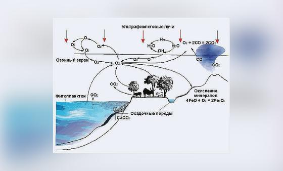 Схема круговорота кислорода