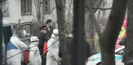 коронавр коронавр
