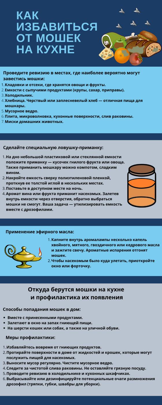 Инфографика: как избавиться от мошек на кухне Инфографика: как избавиться от мошек на кухне