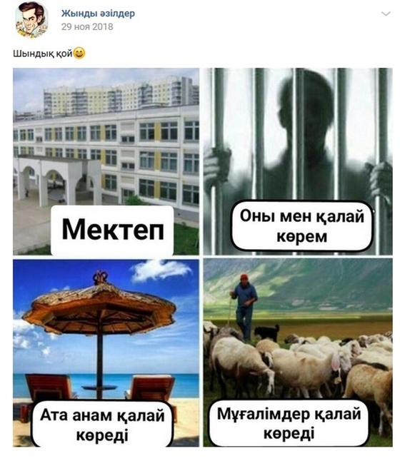 Фото: Вконтакте Фото: Вконтакте