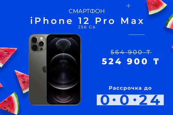 Apple iPhone 12 Pro Max 256Gb Apple iPhone 12 Pro Max 256Gb