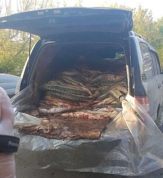 Внедорожник с рыбой остановили в Атырау Внедорожник с рыбой остановили в Атырау