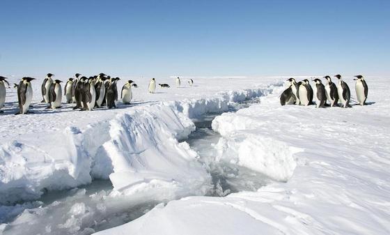 Фото: bigpicture.ru Фото: bigpicture.ru