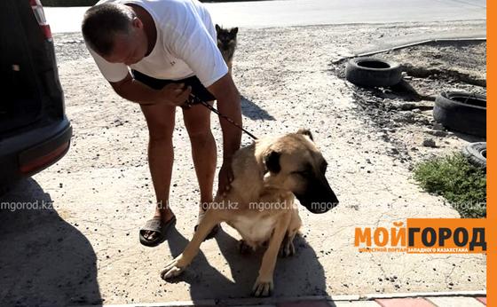 Фото: Мой город Фото: Мой город