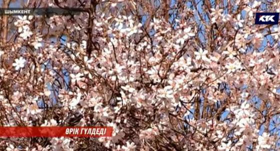 Кадр КТК арнасы Кадр КТК арнасы