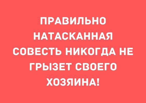 Прикольные статусы для социальных сетей: 50 лучших в 2020 году Прикольные статусы для социальных сетей: 50 лучших в 2020 году