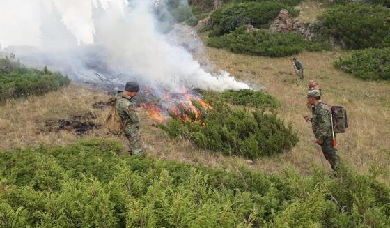 Степной пожар в Алматинской области, в котором погибли 3 человека, ликвидирован Степной пожар в Алматинской области, в котором погибли 3 человека, ликвидирован