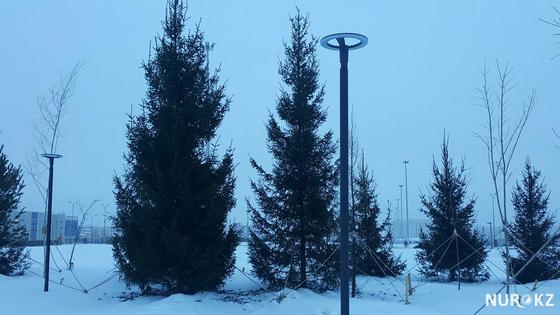 Фото: NUR.KZ Фото: NUR.KZ