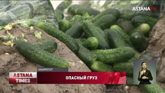 Видеодан кадр: "Астана" телеарнасы Видеодан кадр: "Астана" телеарнасы