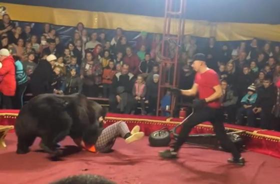 Видеодан кадр Видеодан кадр