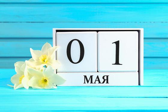 Календарь с 1 мая и белые нарциссы Календарь с 1 мая и белые нарциссы