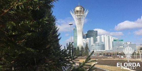 "Бәйтерек". Фото: Elorda Aqparat "Бәйтерек". Фото: Elorda Aqparat