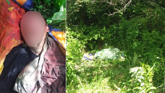 Алматы облысында өз баласын қорғамақ болған аю адамды талап өлтірді Алматы облысында өз баласын қорғамақ болған аю адамды талап өлтірді