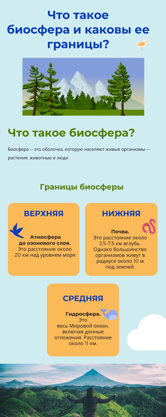 Что такое биосфера Что такое биосфера