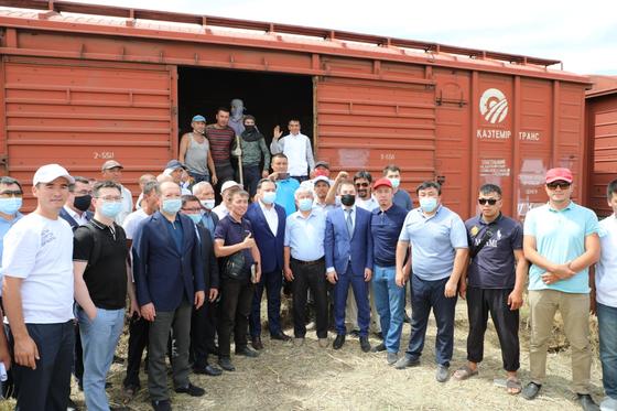 Отправка сена из Туркестанской области Отправка сена из Туркестанской области