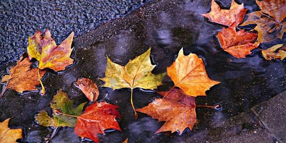 Көрнекі сурет: pixabay.com Көрнекі сурет: pixabay.com
