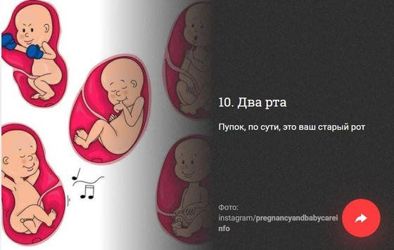 ФОТОРЕП 10 неприятных фактов, которые вам не хотелось бы узнать, но все равно придется ФОТОРЕП 10 неприятных фактов, которые вам не хотелось бы узнать, но все равно придется