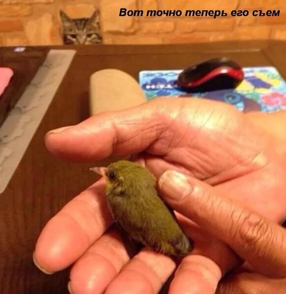 Как выглядит зависть Как выглядит зависть
