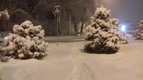 Фото: NUR.KZ Фото: NUR.KZ