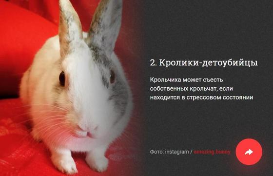 ФОТОРЕП 10 неприятных фактов, которые вам не хотелось бы узнать, но все равно придется ФОТОРЕП 10 неприятных фактов, которые вам не хотелось бы узнать, но все равно придется