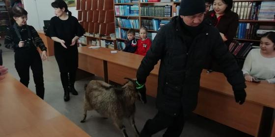 "У меня хобби такое": аким Теренколя рассказал, почему дарит коз и петухов "У меня хобби такое": аким Теренколя рассказал, почему дарит коз и петухов